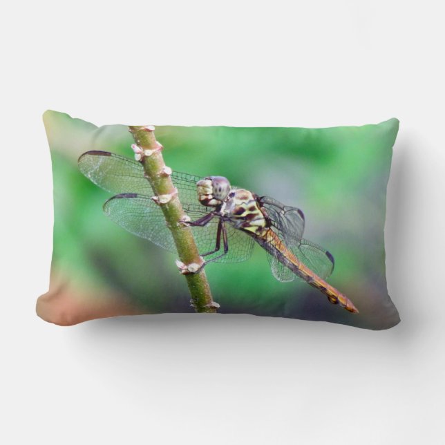 Almofada Lombar O Travesseiro Dragonfly (Frente)