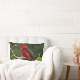 Almofada Lombar Olho para o Travesseiro lombar