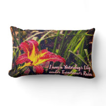 Ontem Lily na chuva de amanhã