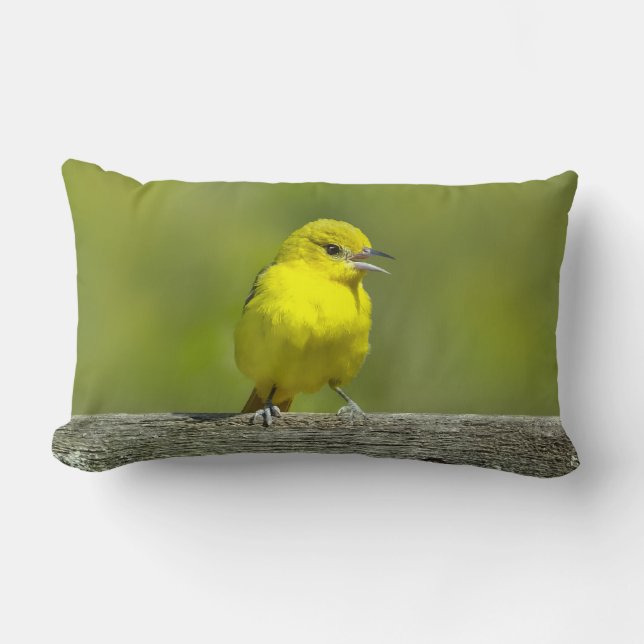 Almofada Lombar Orchard Oriole - Fotografia Original (Frente)