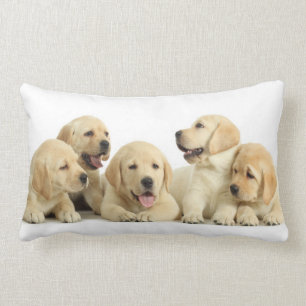 Almofada Lombar Ouro Labrador Puppie