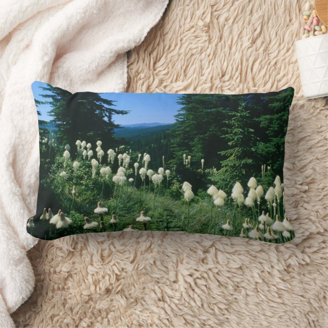 Almofada Lombar Paisagem do Padre Personalizada (Cobertor)