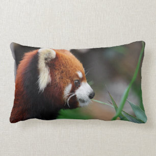 Almofada Lombar Panda vermelha