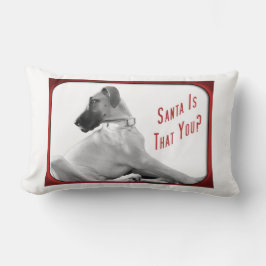Almofada Lombar Papai noel que você