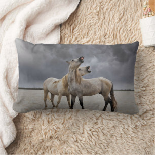 Almofada Lombar Par de garanhões de cavalo de Camargue, sul da Fra