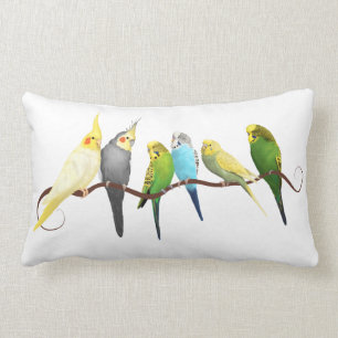 Almofada Lombar Parakeets e Cockatiels