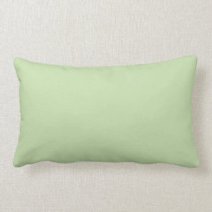 Almofada Lombar Pastel Verde Solid Color Pairs Aloe Gel 058-83-18