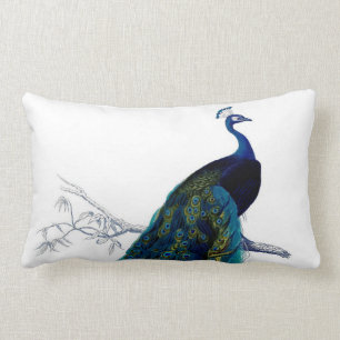 Almofada Lombar Pavão colorido elegante azul do vintage