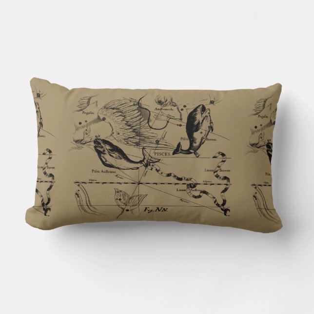 Almofada Lombar Peixes Constelação Hevelius 1690 (Frente)