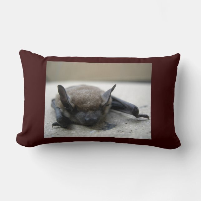 Almofada Lombar Pequeno morcego (Myotis lucifugus) (Frente)