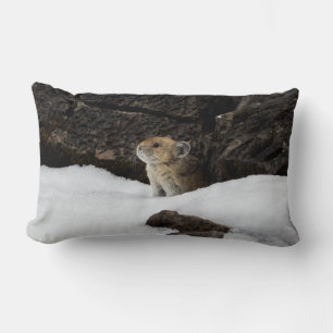 Almofada Lombar Pike Americano em Snowbank
