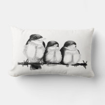 Pintinhos de Kingfisher