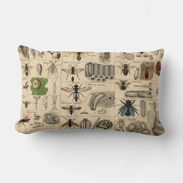 Almofada Lombar Pintura De Abelhas Insetos Insetos Vaza Natureza N (Frente)