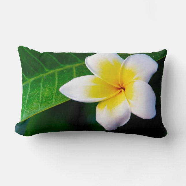 Almofada Lombar plumeria (Frente)