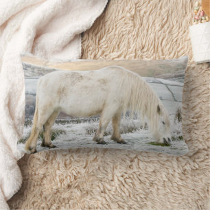 Almofada Lombar Pônei Branco Fell em Moorland no Inverno