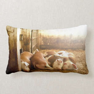 Almofada Lombar Porcos Snuggling das imagens de Getty