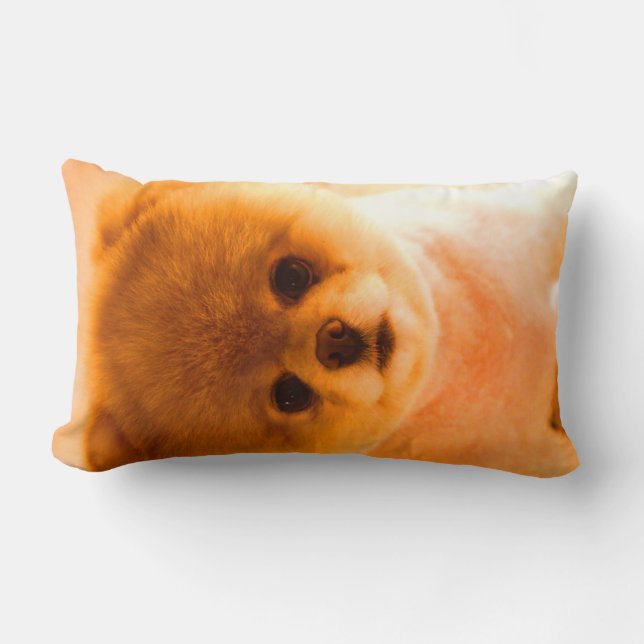 Almofada Lombar Presente lombar do travesseiro da foto (Frente)