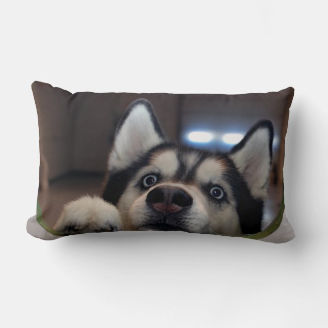 Almofada Lombar Qualquer um para fora lá? (Frente)