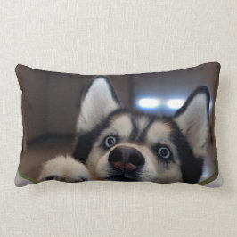 Almofada Lombar Qualquer um para fora lá?