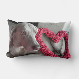 Almofada Lombar Rain's Love - Weimaraner Dog Pic - Travesseiro