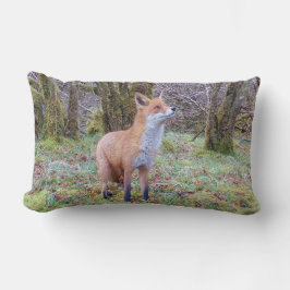 Almofada Lombar Raposa Vermelha Reversível