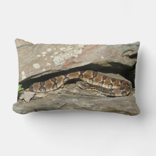 Almofada Lombar Rattlesnake no Parque Nacional de Shenandoah
