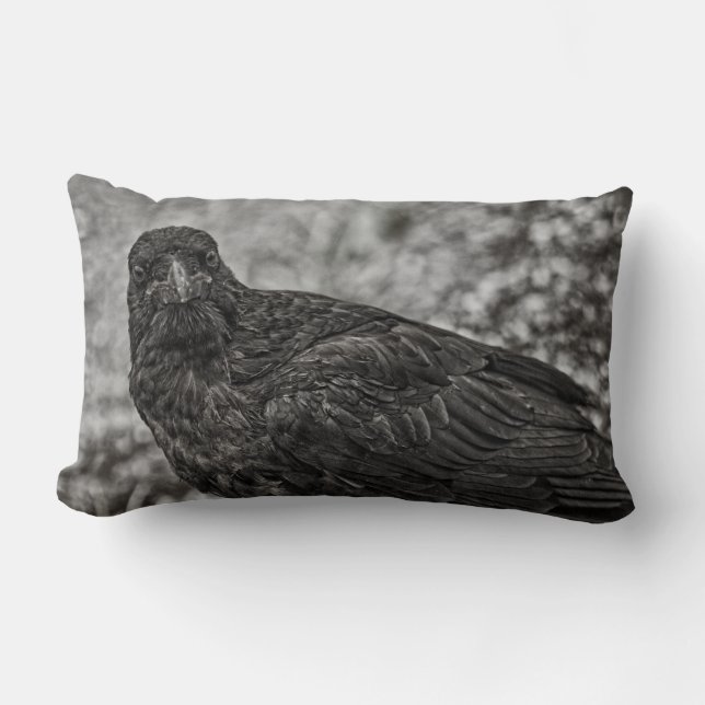 Almofada Lombar Raven P9239 (Frente)