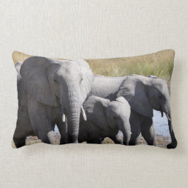 Almofada Lombar Rebanhos do elefante de África