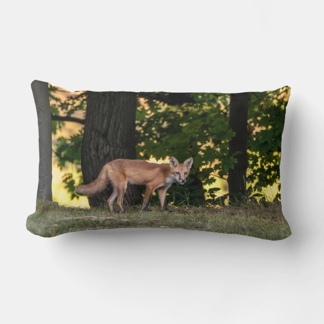 Almofada Lombar Red Fox Sun E Shade (Frente)