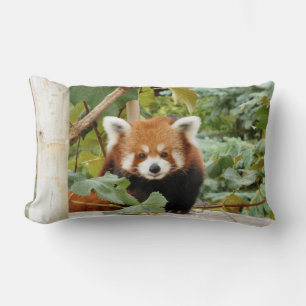 Almofada Lombar Red Panda