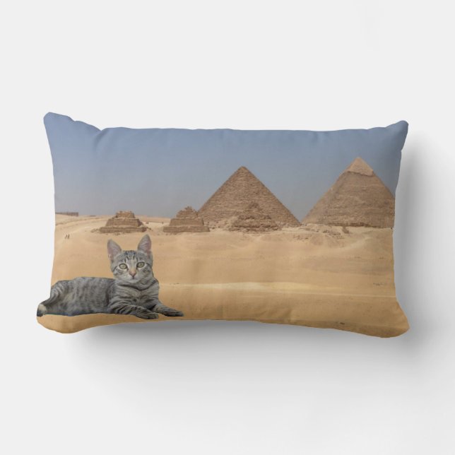 Almofada Lombar Regra de Gats.Travesseiro decorativo (Frente)