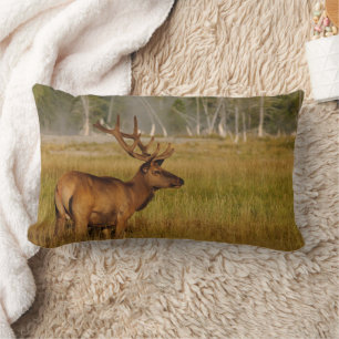 Almofada Lombar Rocky Mountain Elk Parque Nacional Yellowstone