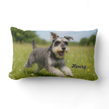 Romping Schnauzer Personalizado