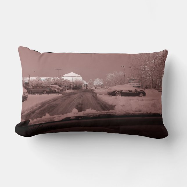 Almofada Lombar rosa de óculos coloridos (Frente)