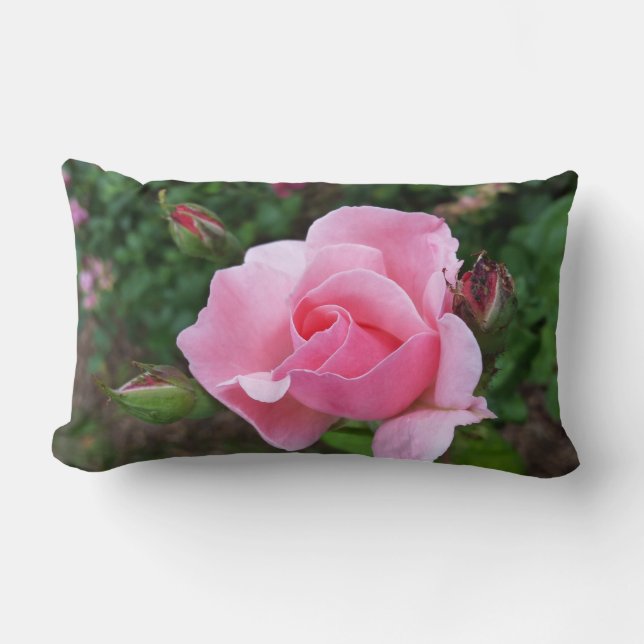Almofada Lombar rosa rosa rosa florescente (Frente)