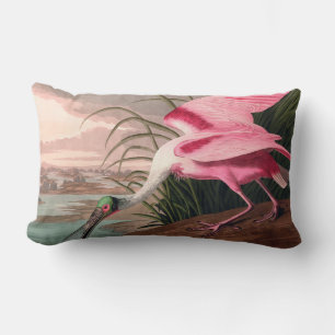 Almofada Lombar Roseate Spoonbill Audubon Bird Willife