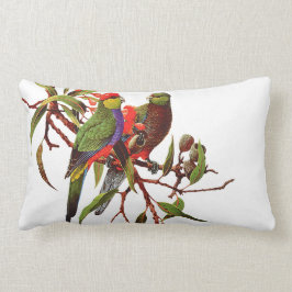 Almofada Lombar ROSELLAS no coxim tomado partido dobro BRANCO do