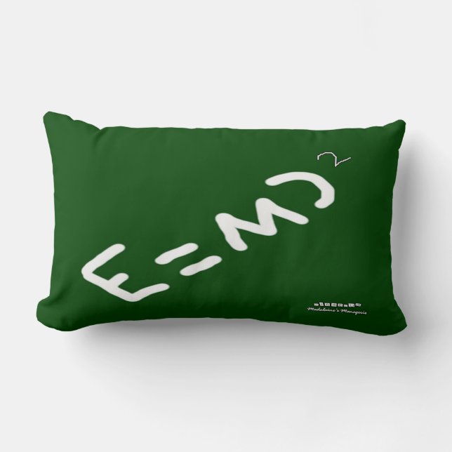 Almofada Lombar RVC de Relatividade Física HI54EDU (Frente)