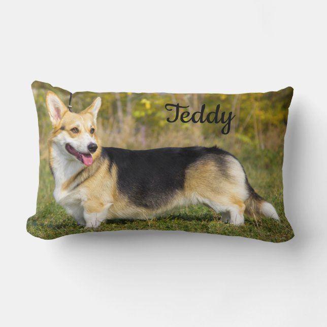 Almofada Lombar Sable Cardigan Welsh Corgi Dog (Frente)