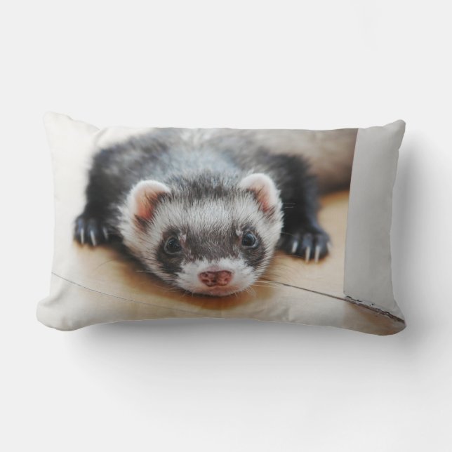 Almofada Lombar Sable Ferret (Frente)