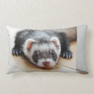 Almofada Lombar Sable Ferret
