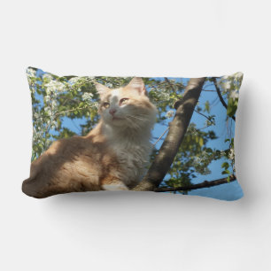 Almofada Lombar Sahara Cat Em Um Travesseiro decorativo De Árvore