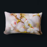 Almofada Lombar Sakura - Flor de Cereja Japonês<br><div class="desc">Vista aproximada de flores de cerejeira japonesa na primavera. A cereja japonesa se chama sakura. A época da floração da sakura começa no final de março e dura até o início de maio. Esse período é chamado de Hanami ou a estação de observação e desfrutação da beleza da sakura no...</div>