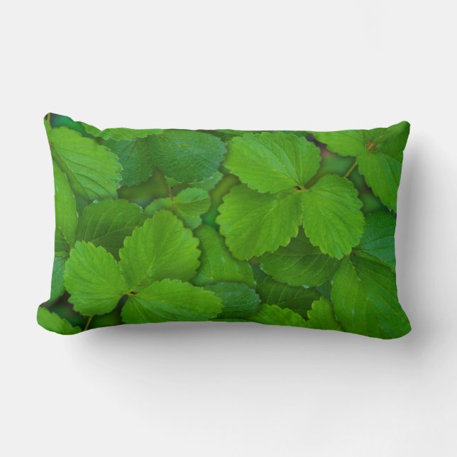 Almofada Lombar Santo Basil Tulsi Green Mint Folhas (Frente)