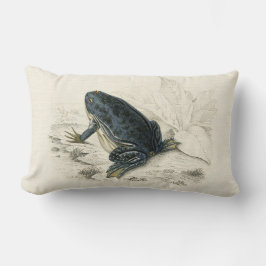Almofada Lombar Sapo do vintage