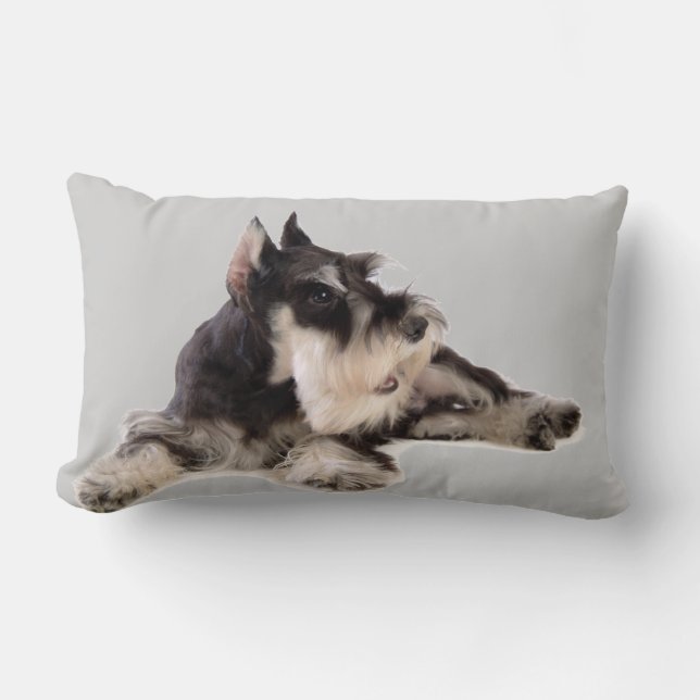 ALMOFADA LOMBAR SCHNAUZER GIGANTE (Frente)