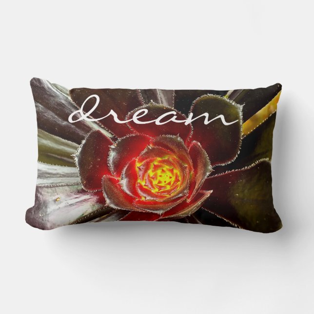 Almofada Lombar Script Bold Modern de Cactus Photo Dream de Cota P (Frente)