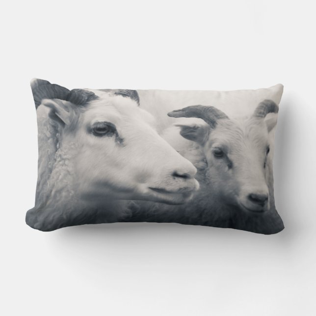 Almofada Lombar Seja amável (Frente)