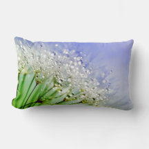 Sementes de Dandelion com Gotas de Dew