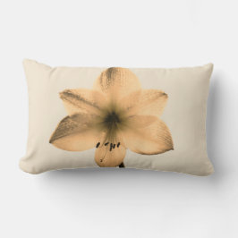 Almofada Lombar sepia amaryllis